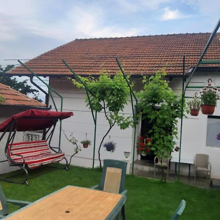 Vila Mir Пирот Экстерьер фото