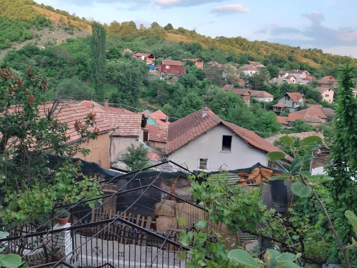Vila Mir Пирот Экстерьер фото
