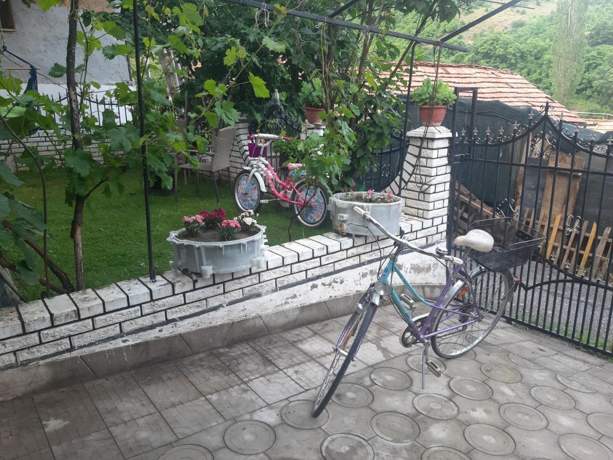 Vila Mir Пирот Экстерьер фото