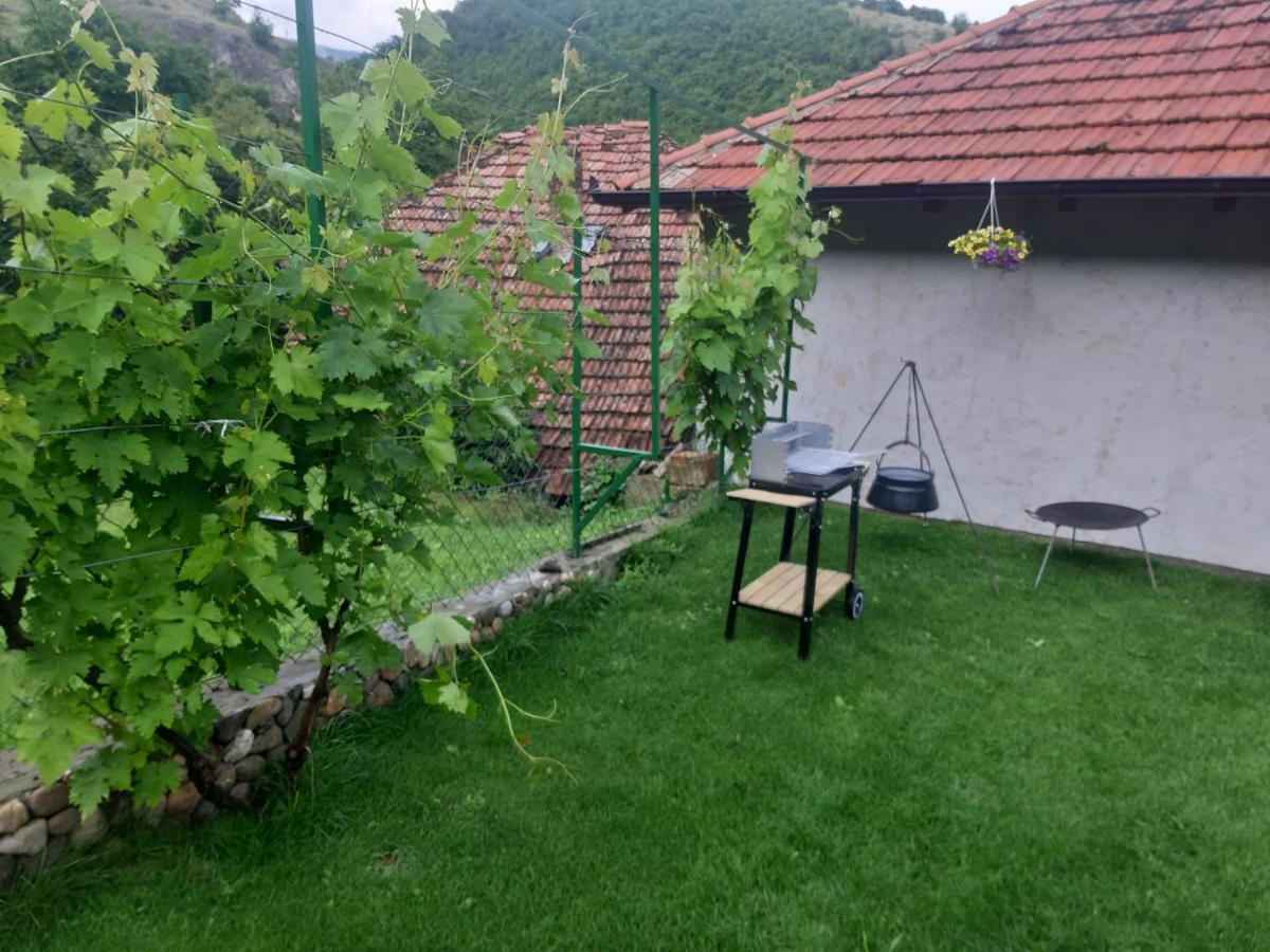 Vila Mir Пирот Экстерьер фото