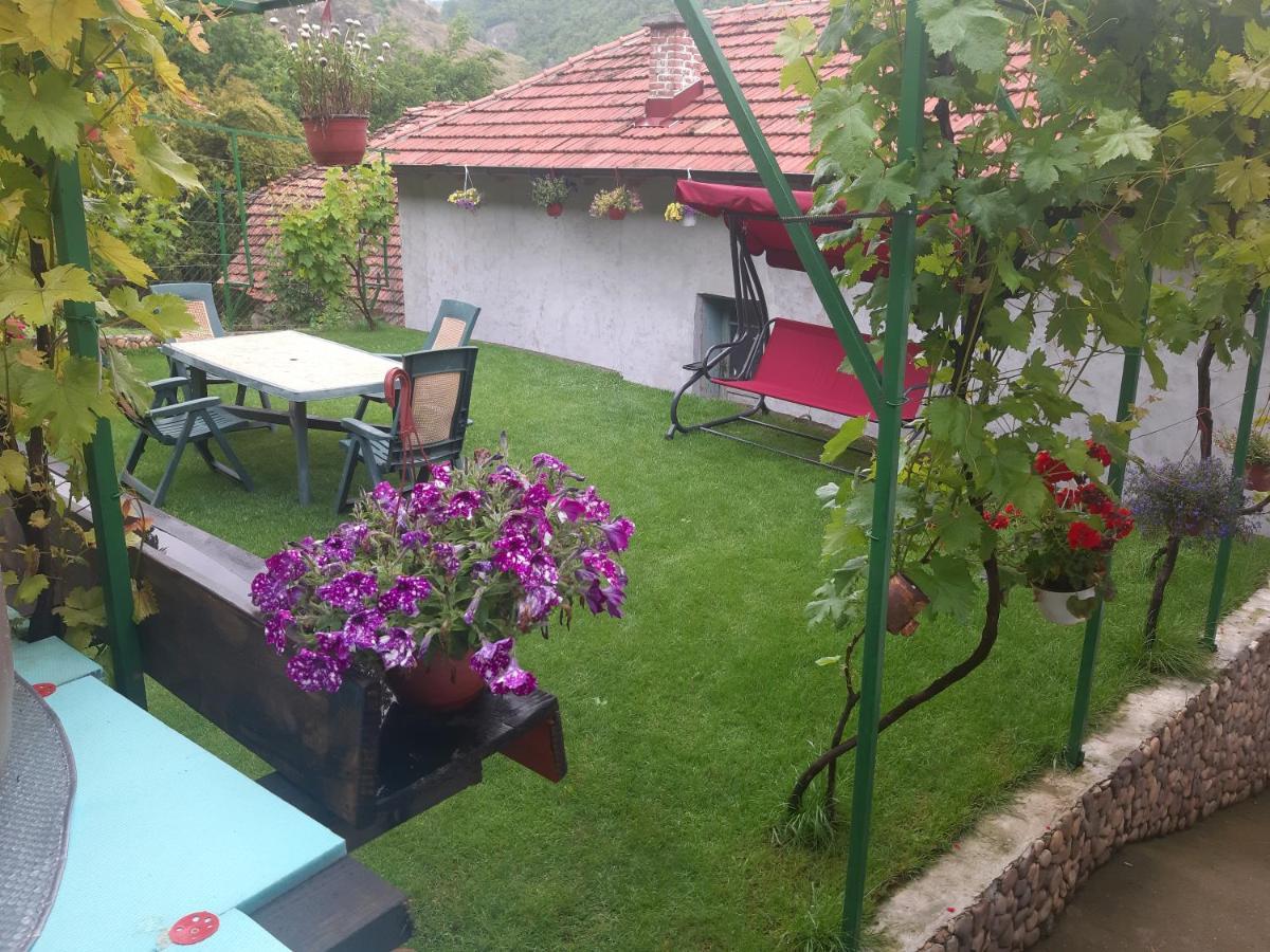Vila Mir Пирот Экстерьер фото