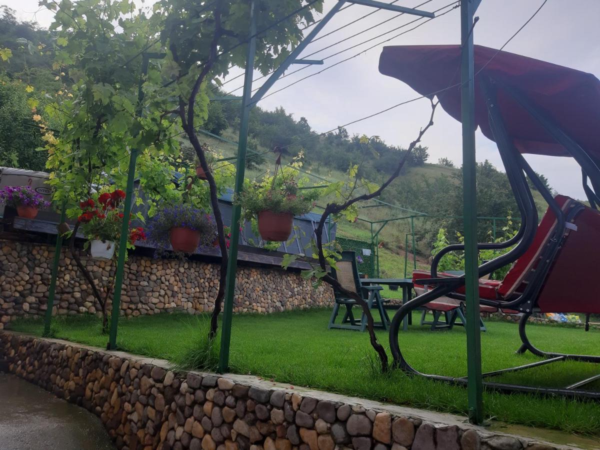 Vila Mir Пирот Экстерьер фото