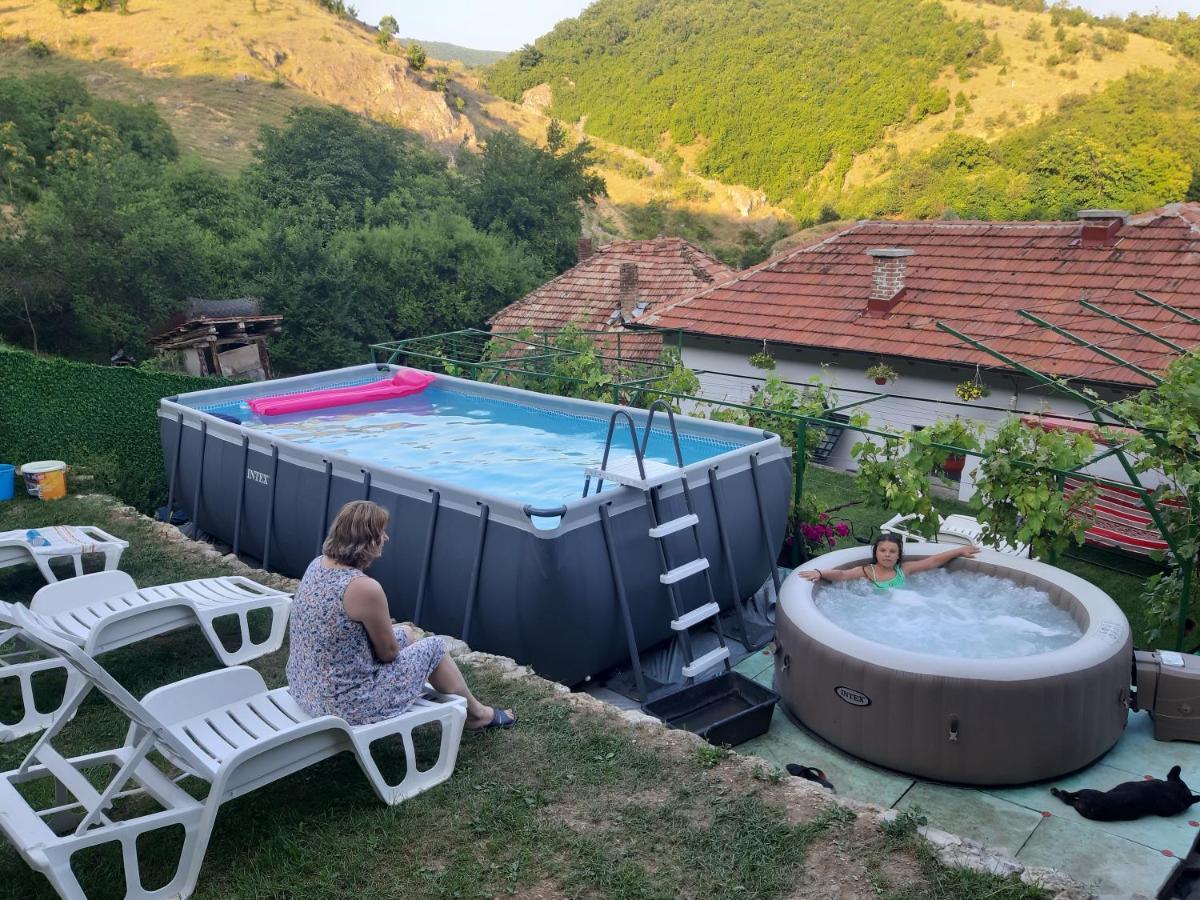 Vila Mir Пирот Экстерьер фото